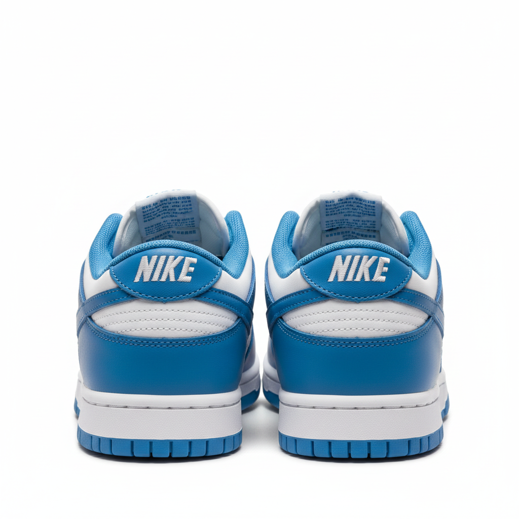 Nike Kids Dunk Low Blue White