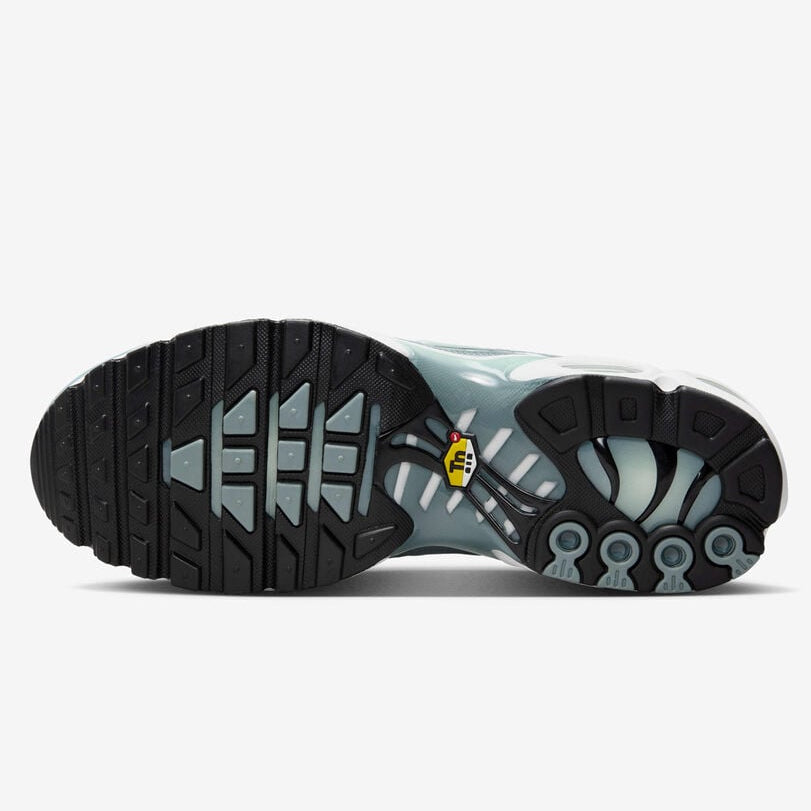 Nike Air Max Plus sneakers
