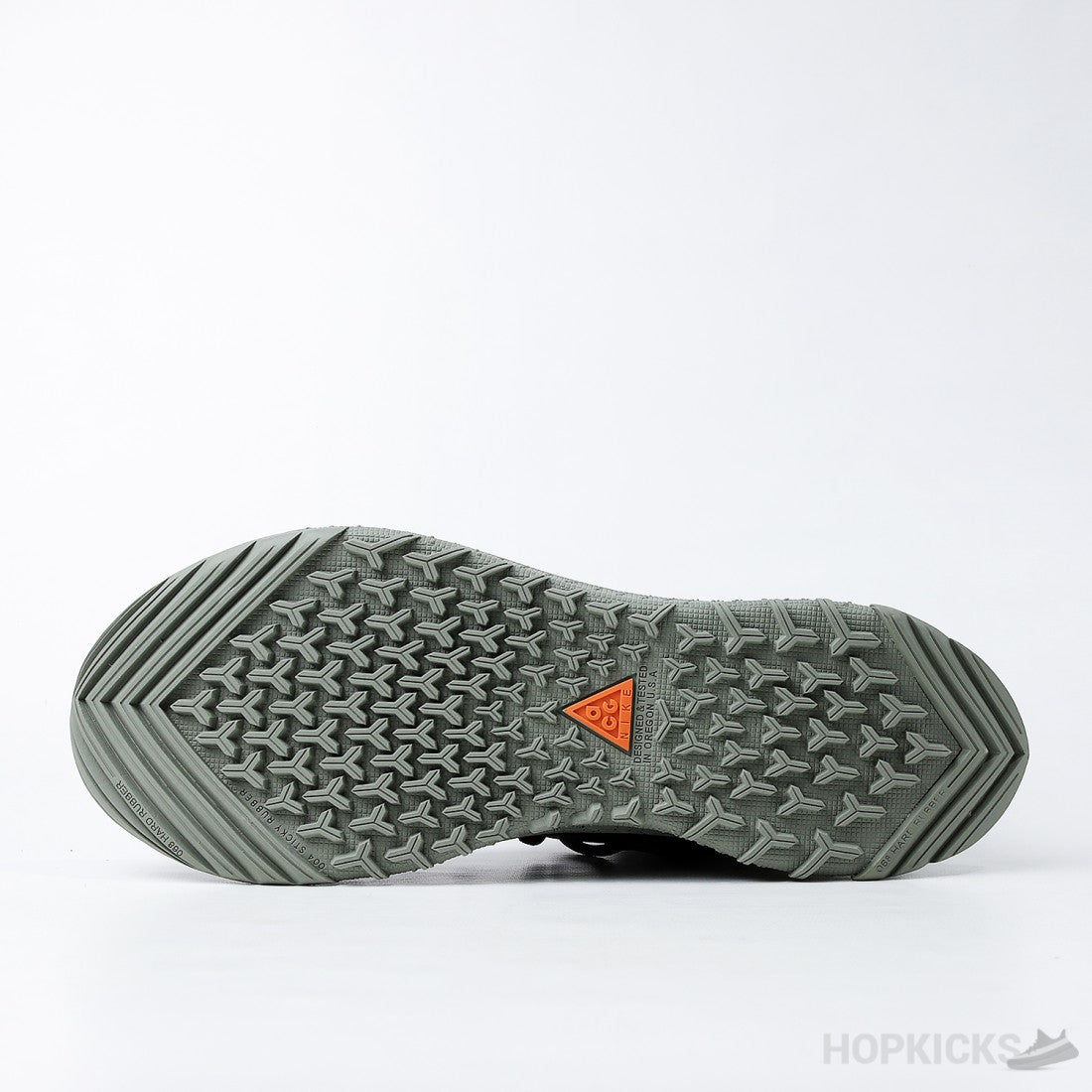 Nike ACG Terra Antarktik GORE-TEX Juniper Fog